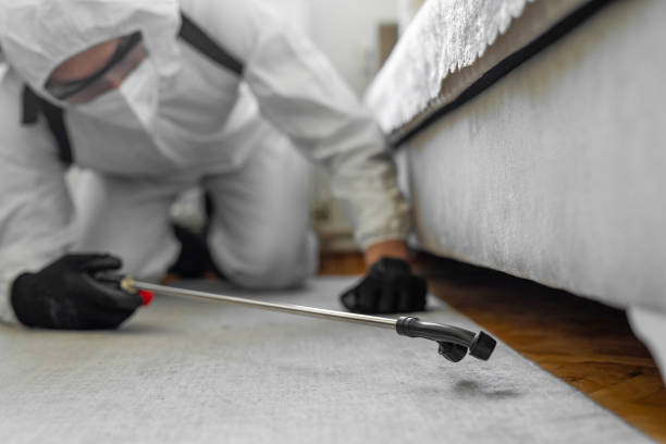 Professional Pest Control technician working in Stanton County County, KS